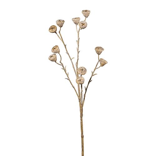 FIORE DI EUCALIPTO 62CM. NAT.