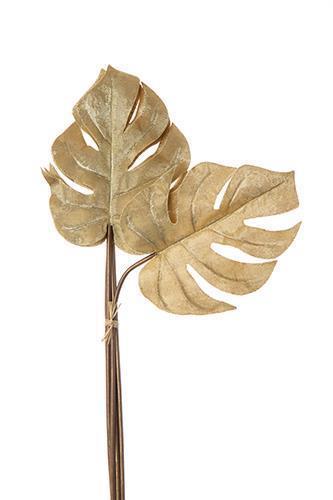 FOGLIE PHILO GLAMOUR BUNCH 6PZ. 68CM. CHAMP.