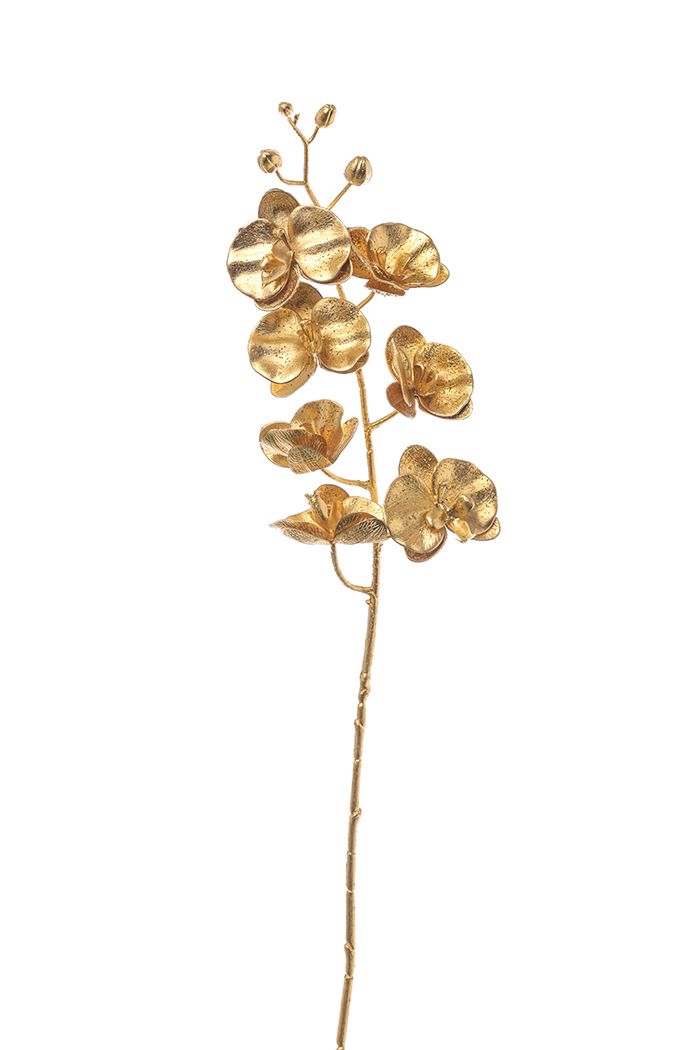 PHALAENOPSIS GOLD 76CM. 3PZ.