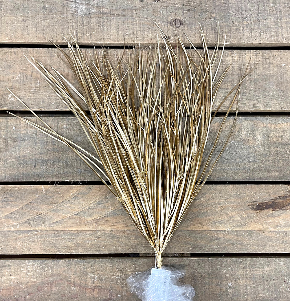 BEAR GRASS BUSH X5 66CM. ORO