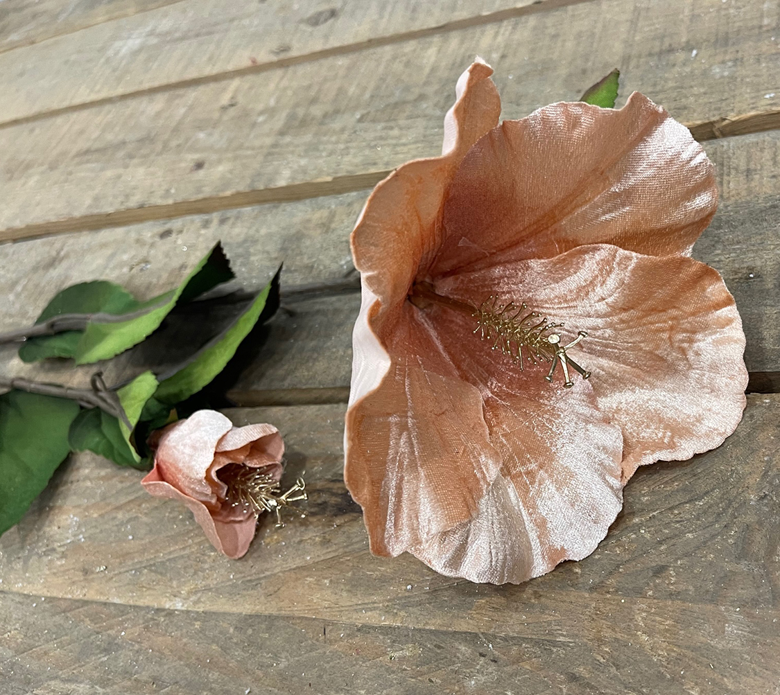 IBISCUS VELVET SPRAY X2 80CM. PEACH