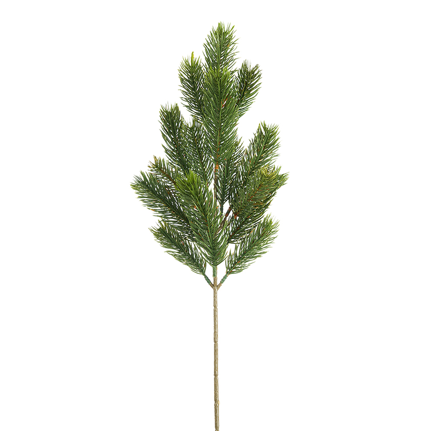 PICK PINO NORDMANN X15  49CM. 3PZ.