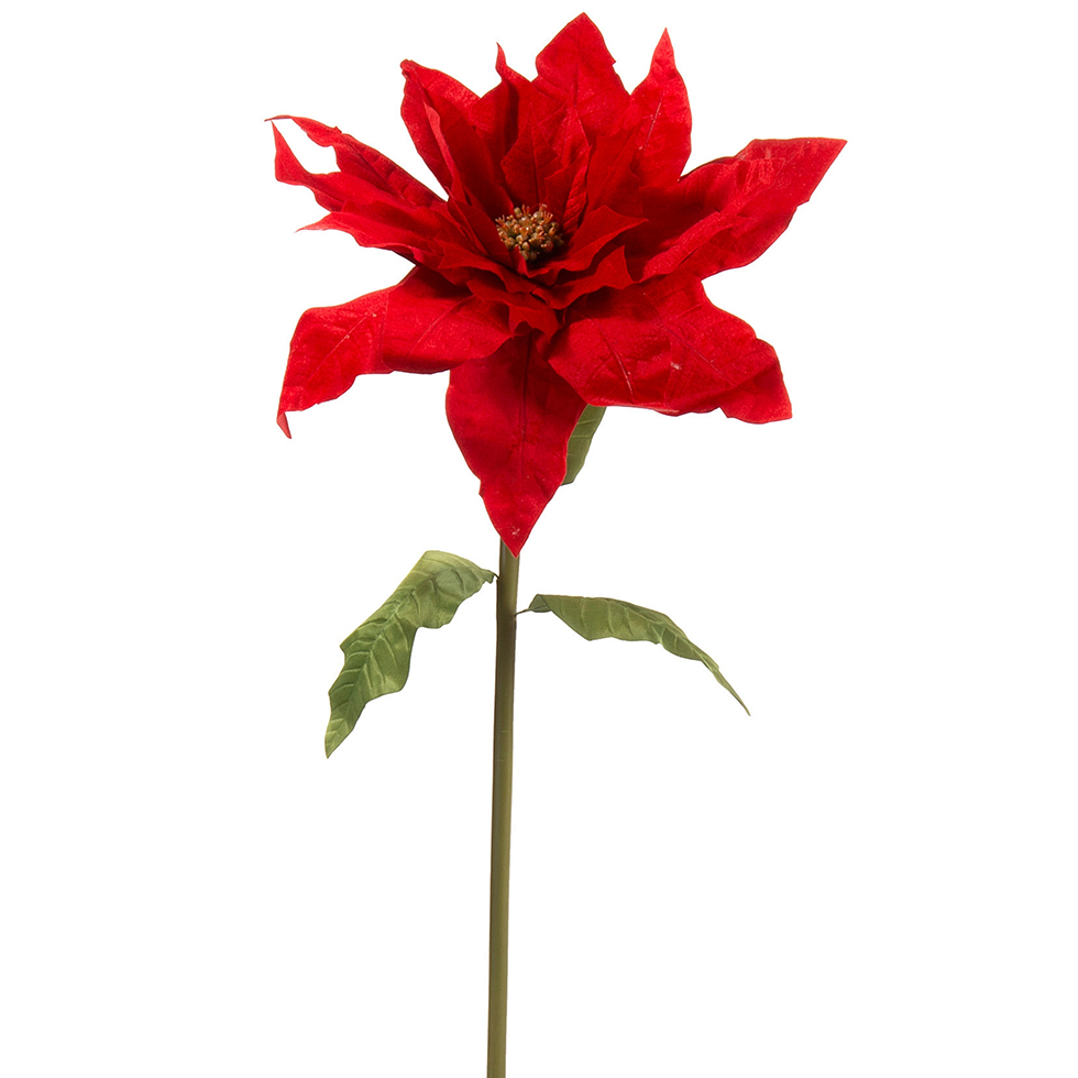 STELLA DI NATALE VELLUTO ROSSO D100X100 H200CM.