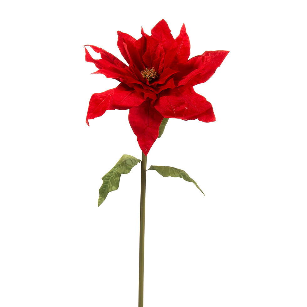 STELLA DI NATALE VELLUTO ROSSO D72X72 H150CM.