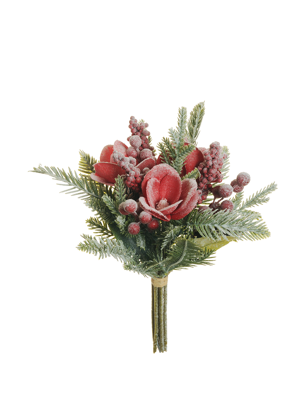 MAGNOLIA BACCHE PIGNE BUNDLE 30CM. INNEV. ROSSO