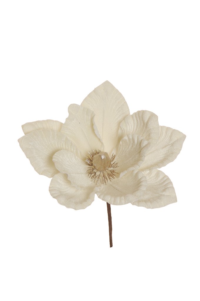MAGNOLIA VELVET PICK D.21 H.34 3PZ. CREAM