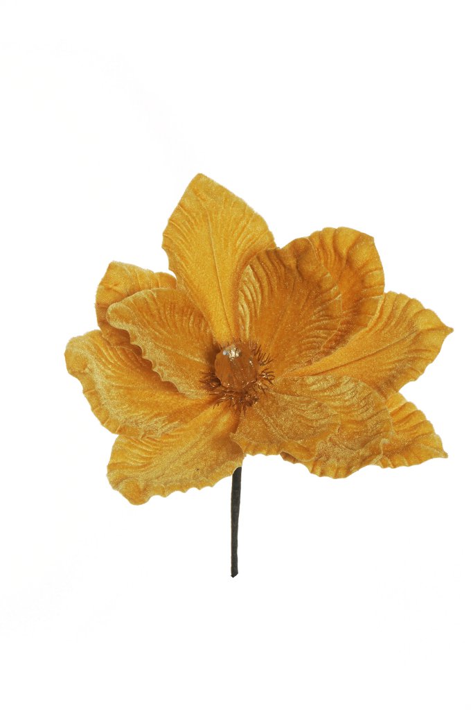 MAGNOLIA VELVET PICK D.21 H.34 3PZ. ORO