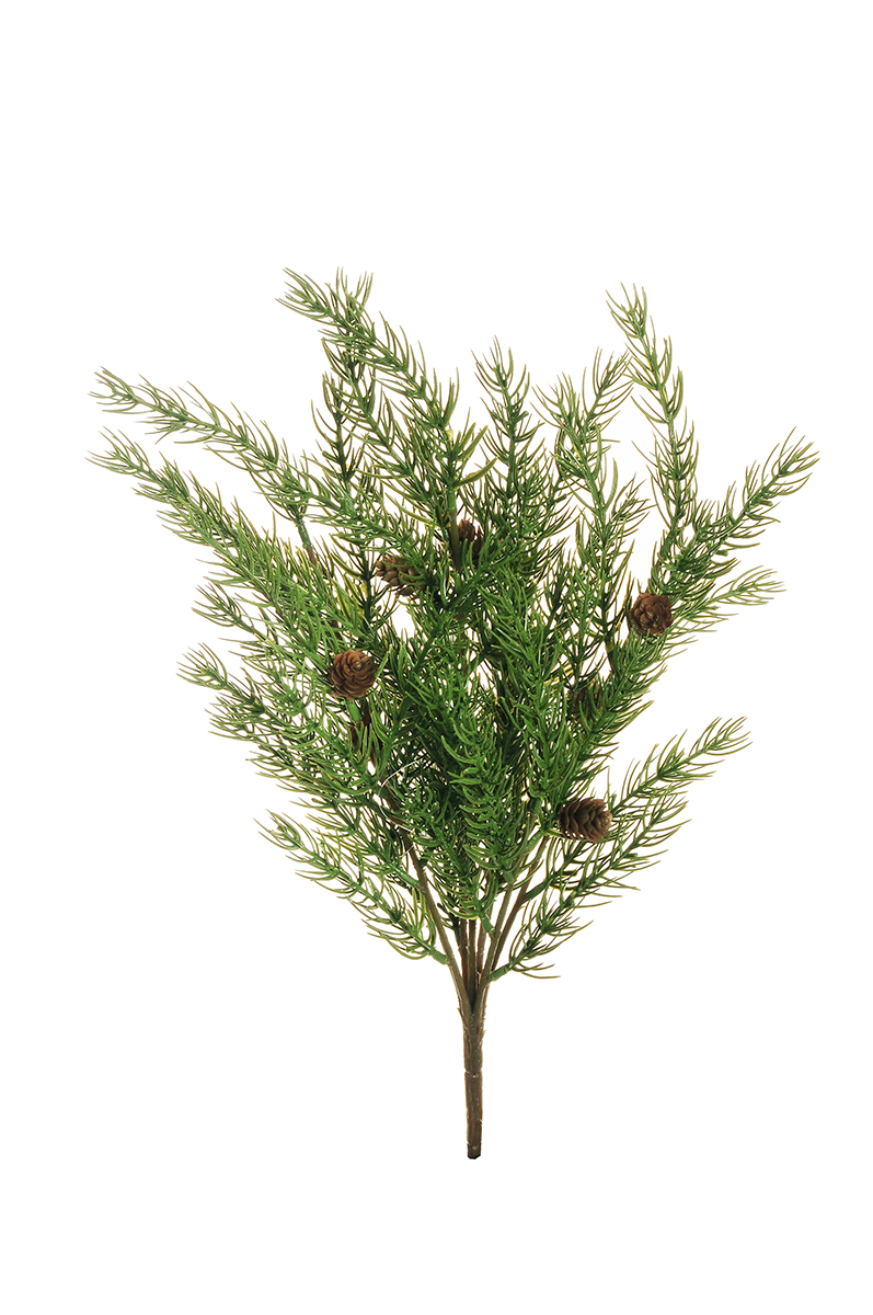 BUSH PINO X7CM. C/PIGNE 50CM. VERDE