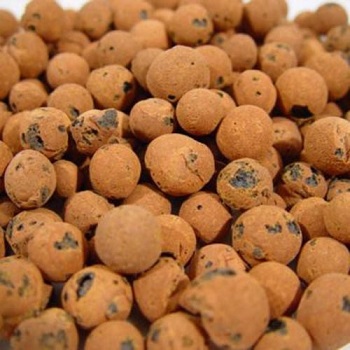 ARGILLA ESPANSA 8/20 - 50LT
