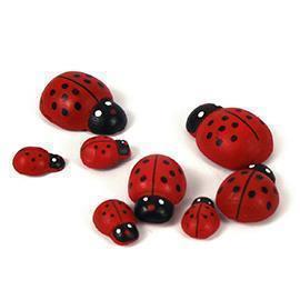 COCCINELLA 25MM. 40PZ. C/BIAD. ROSSO