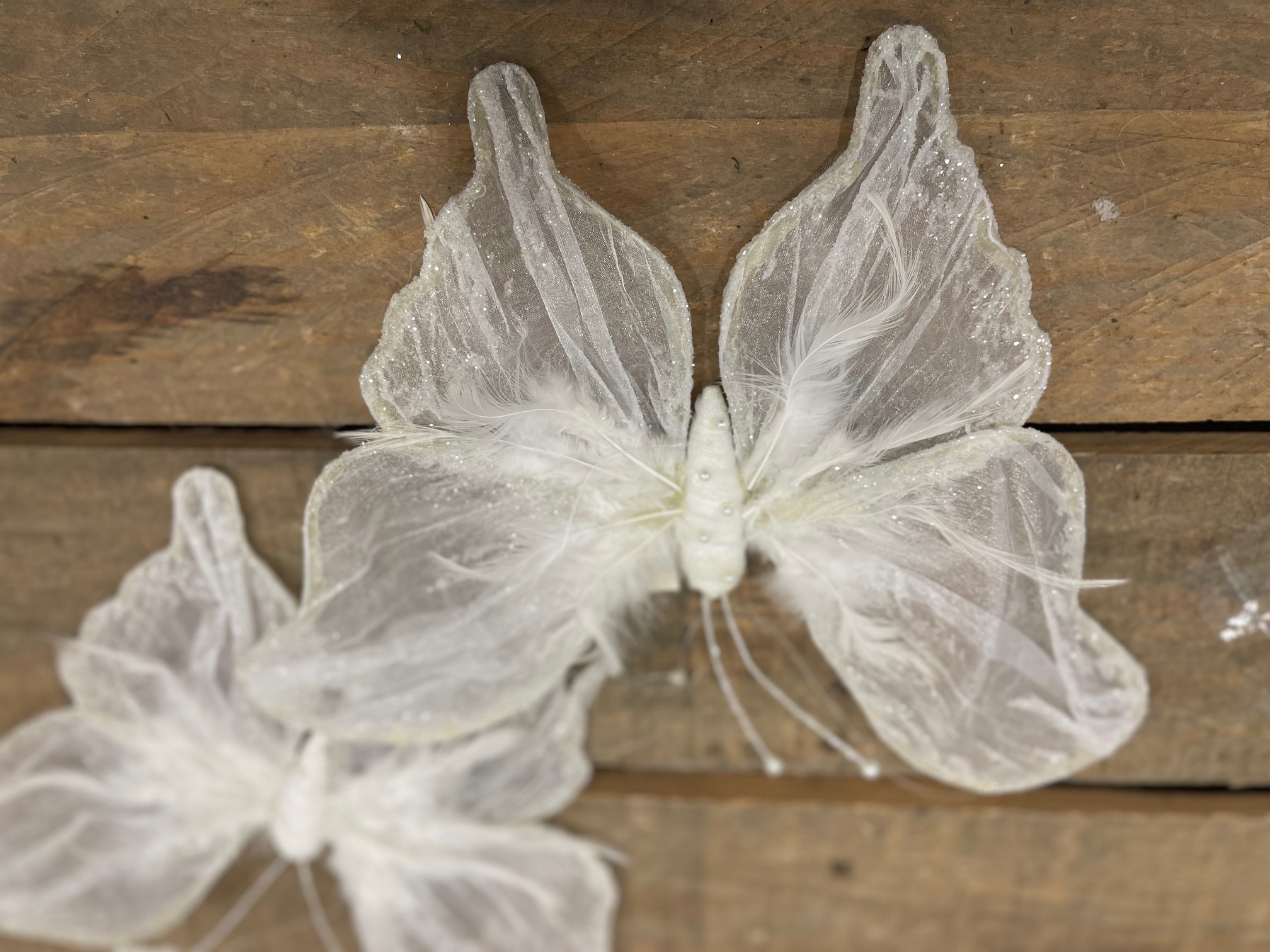 FARFALLA ORG.2PZ. L25CM.BIANCO