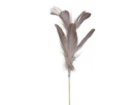 PIUME SU STICK 72CM. 12PZ. CREMA
