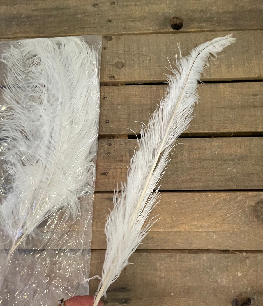 PIUME DI STRUZZO 50-60CM. 5PZ. BIANCO