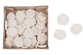 SAND DOLLAR 50PZ. IN BOX