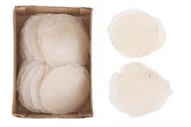 CAPIZ 520GR. IN BOX