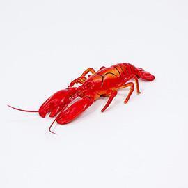 ARAGOSTA L.24CM. 2PZ. ARANCIO