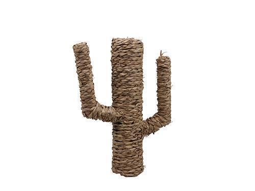 CACTUS FIBRE NAT. H40CM.