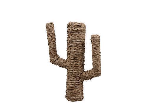 CACTUS FIBRE NAT. H51CM.