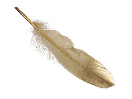 PIUME 24PZ. 18-20CM. CHAMP. GOLD