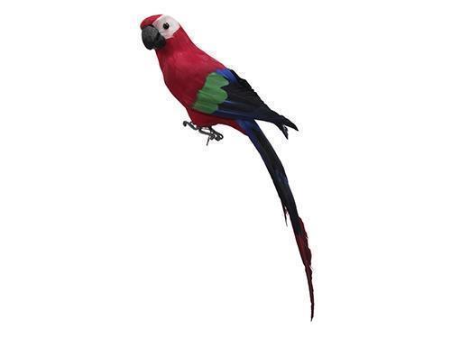 PAPPAGALLO 60CM. RED
