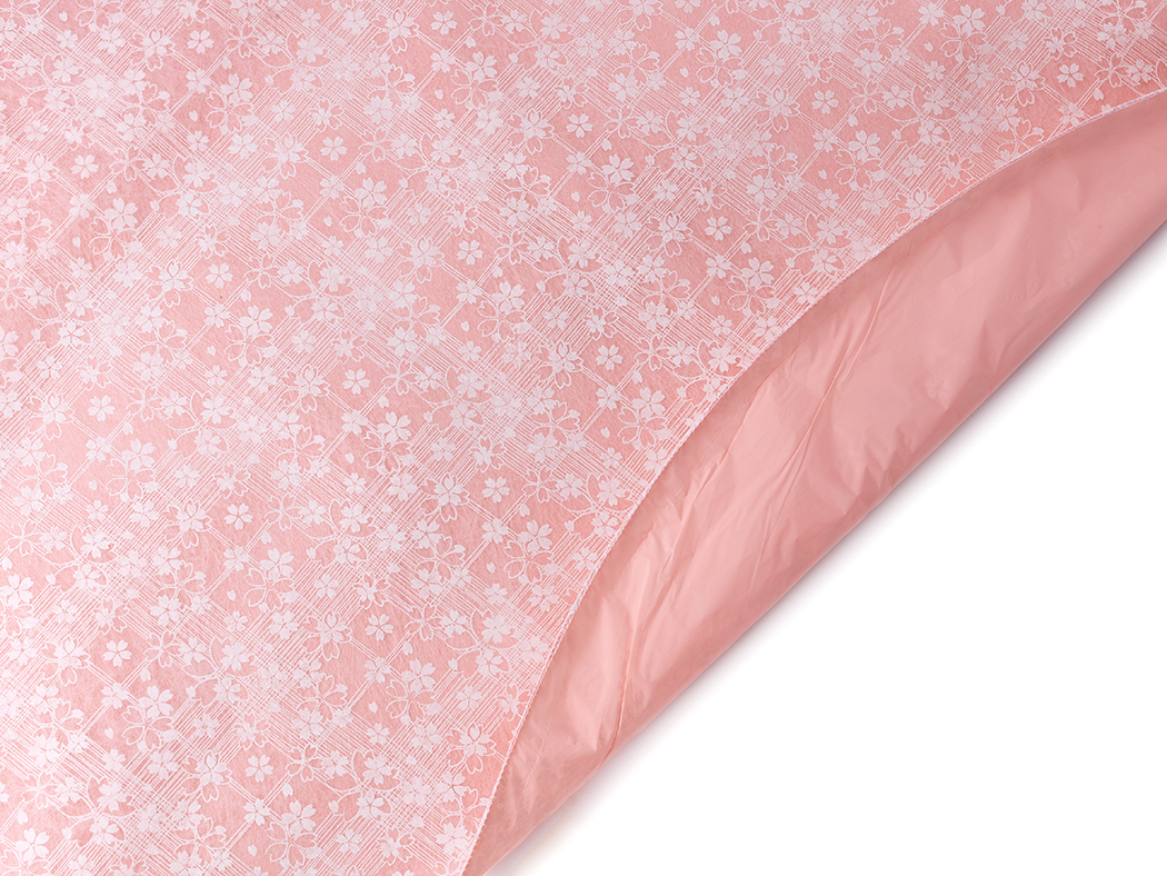 SOTT.POLIW.PRINTEMPS +HD 10PZ. D100CM. CN