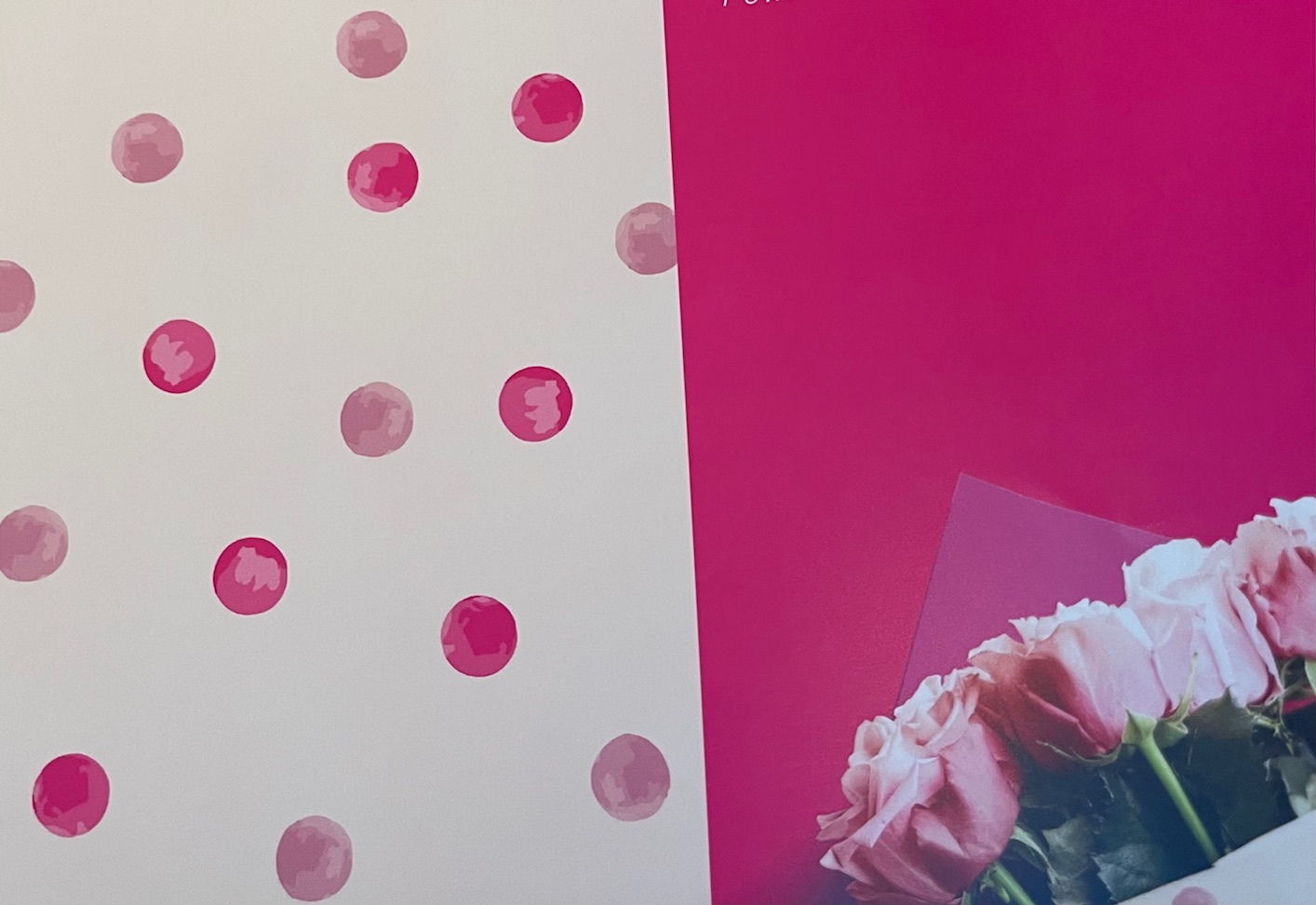 BOB.POLI NEW POIS 1X25MT. CIPRIA FUXIA