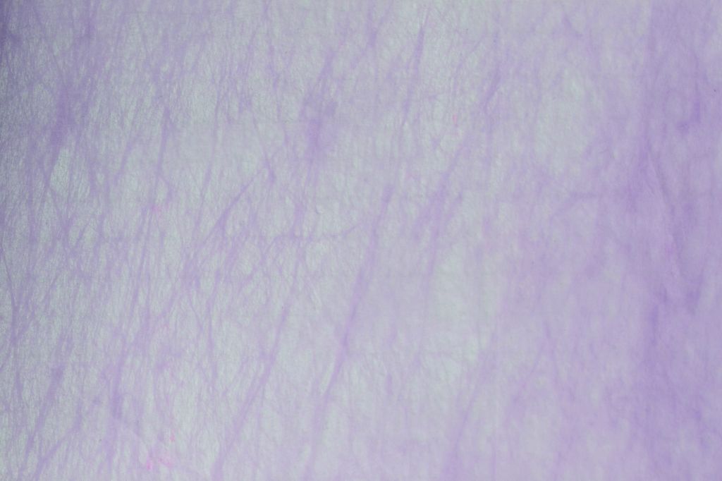 BOB.TNT SILKY TEX 0,70X25MT. LI