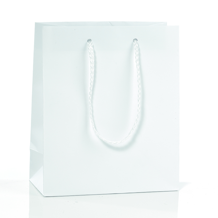 SHOPP.BAGS 16X19 +8CM. 12PZ.T.U.BI