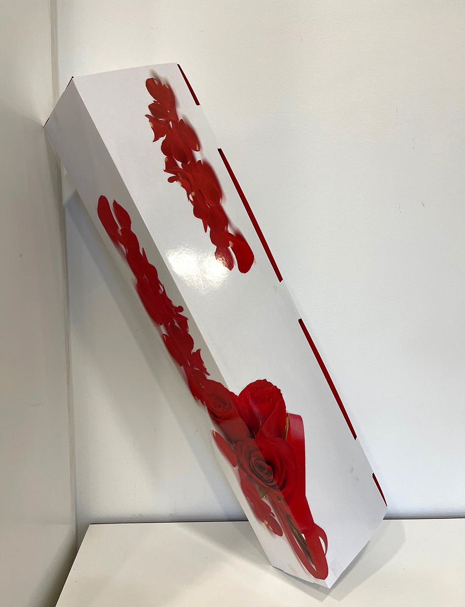 ROSE BOX 6PZ. CM.72X16X12