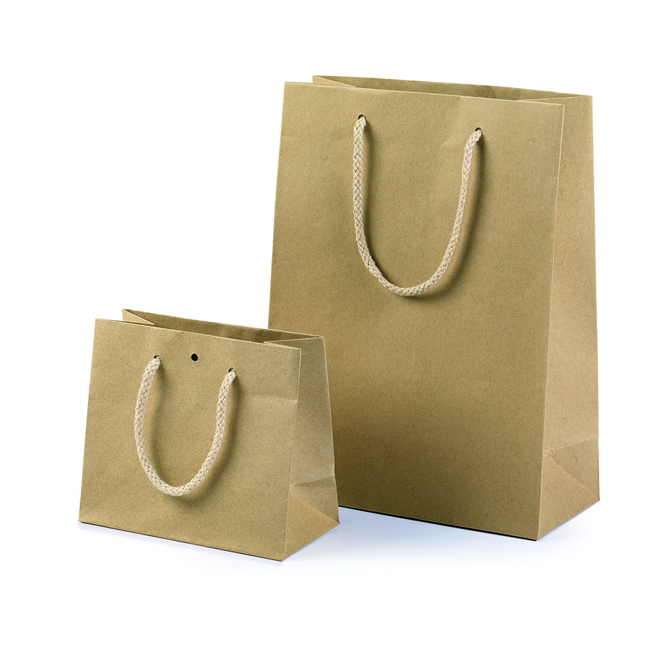 SHOPP.CARTA C/FORO 12PZ. 24X19,5+14CM. KRAFT