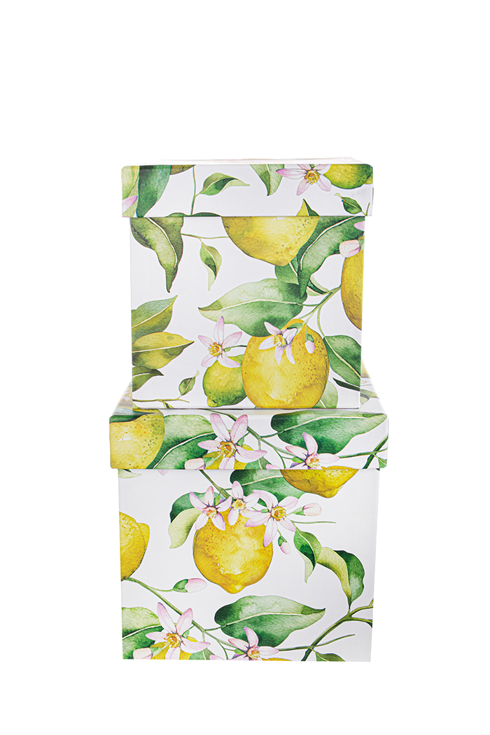 SCAT.QUAD.S/2PZ. 20X20 23X23CM. C/LIMONI