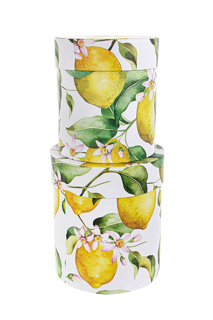 SCAT.TONDE S/2PZ. H19-21 D17-19CM. C/LIMONI