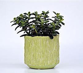 CASPO BEA CER. H14CM. MATT/GREEN