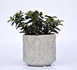CASPO BEA CER. H14CM. MATT/GREY