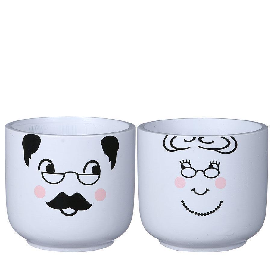 VASETTI C/VISO D14 H13CM. 6PZ.ASS. BIANCO