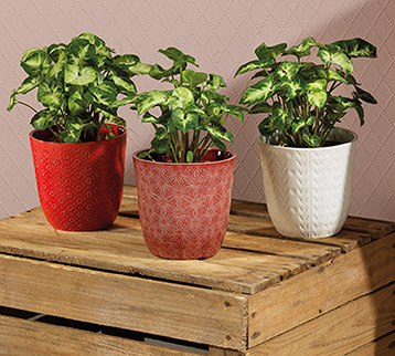 VASETTO CER.11PEZZI D13,5 H13,5CM. 3COL. ASS.