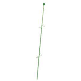 ORCHIDECO ELEG.LIME