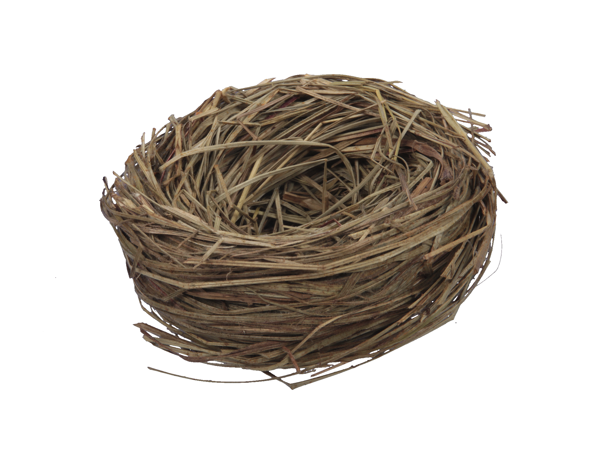 NIDO DI PAGLIA D9X5CM. 4PZ. NATURALE