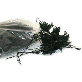 LYCOPODIUM 500GR. VERDE SC.
