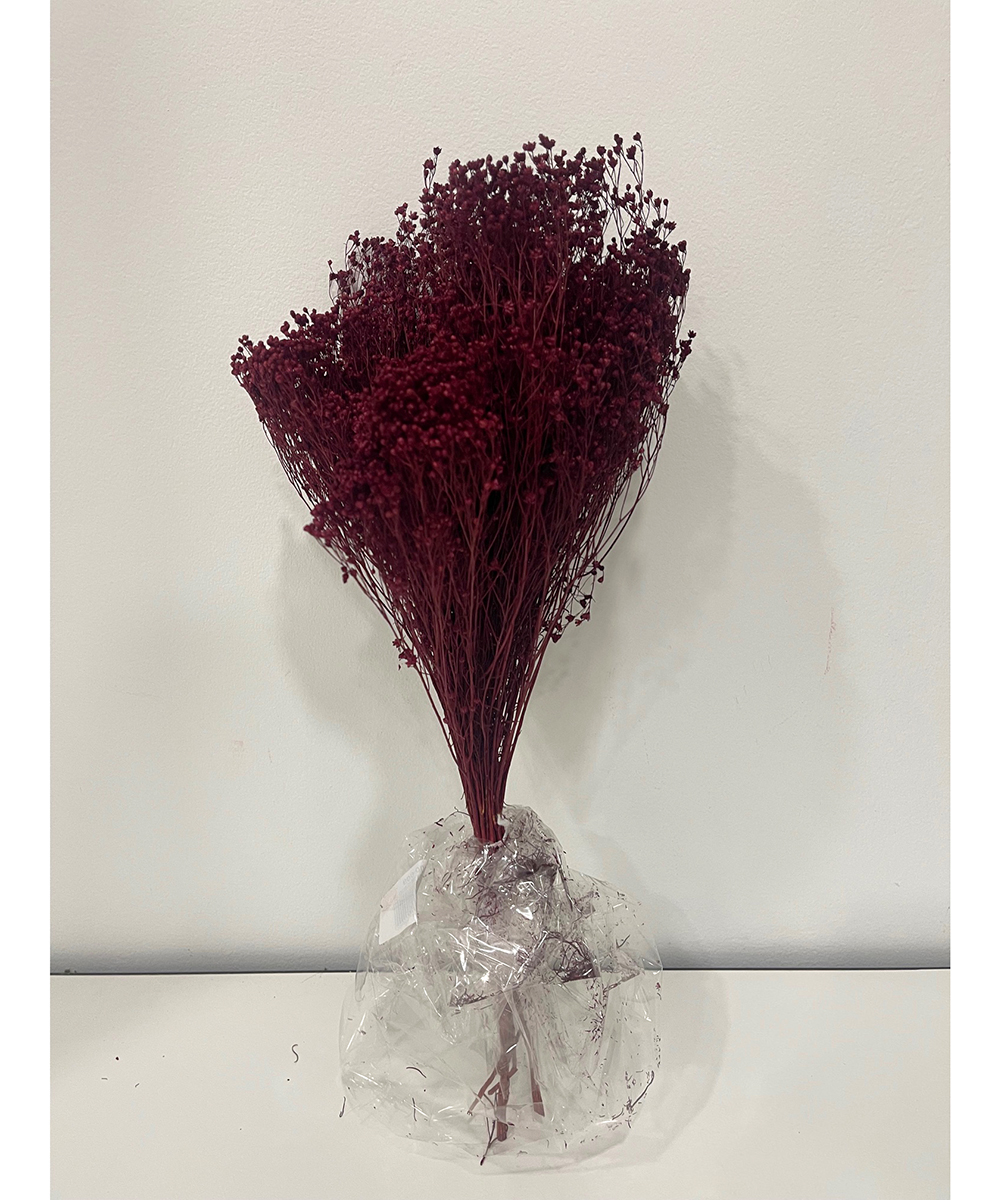BROOM BLOOMS 100GR. BORDEAUX