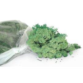 MUSCHIO NORDICO 500GR. VERDE