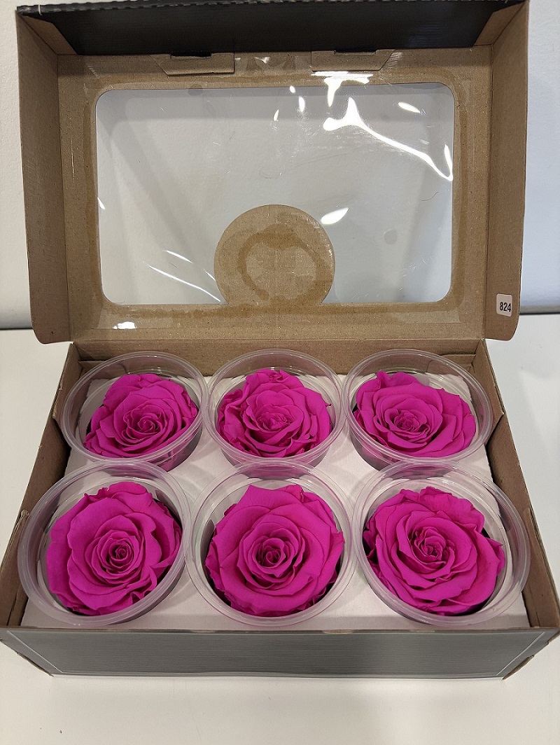 ROSE STABILIZZ.6PZ. XL PIN-07 ---NETTO-----------