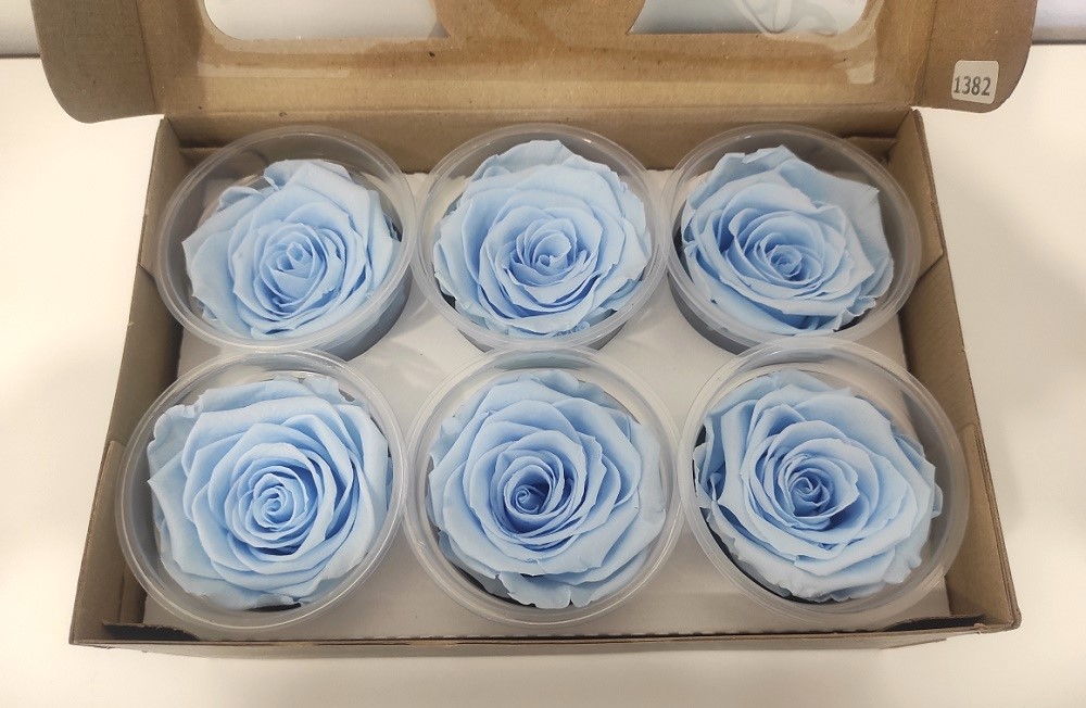 ROSE STABILIZZ.6PZ. XL BLU-89 ---NETTO-----------