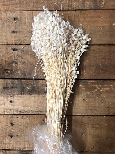 BRIZA MAXIMA 100GR. BIANCO
