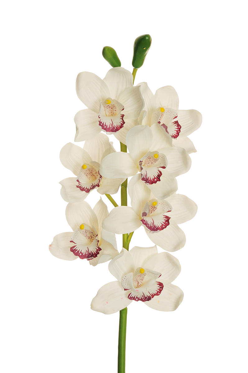 CYMBIDIUM SPRAY 7FIORI REAL TOUCH 77CM.BIANCO