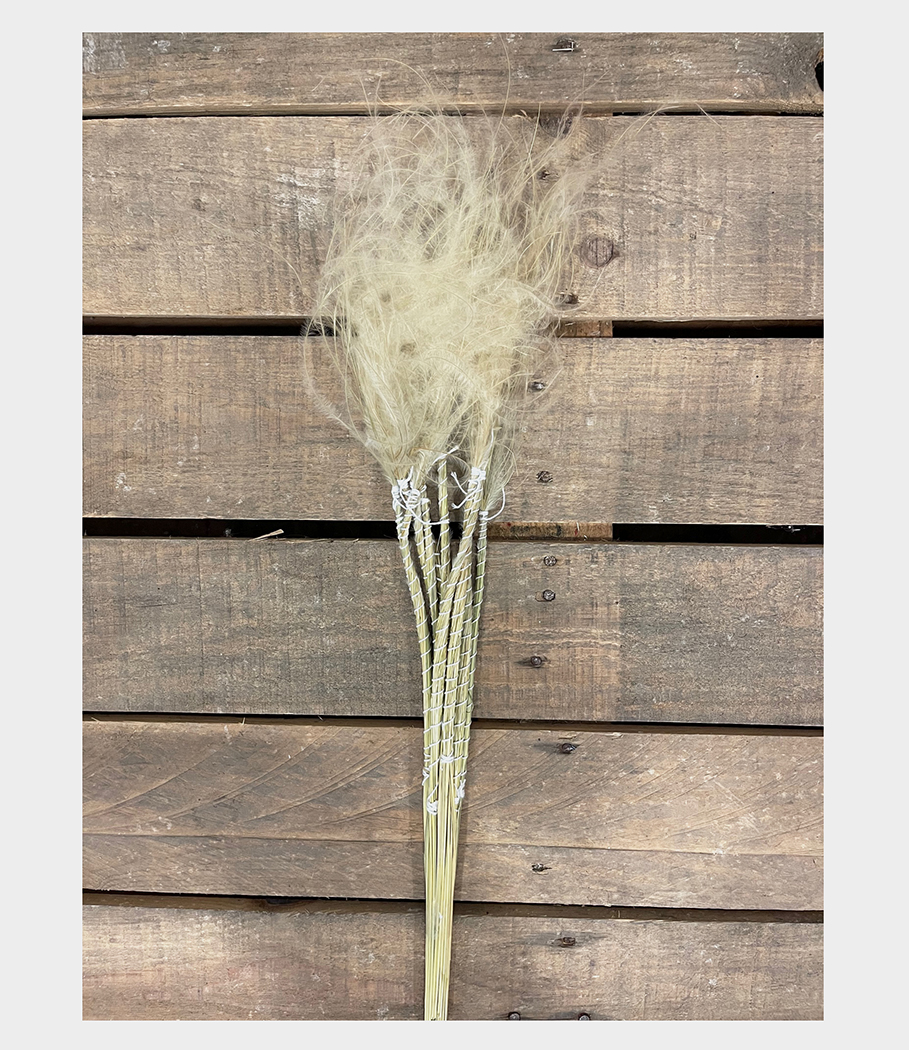 STIPA PENNATA TUFFS 10PZ. NATURALE