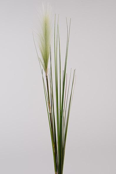 BULLRUSH SPRAY 122CM.GREEN