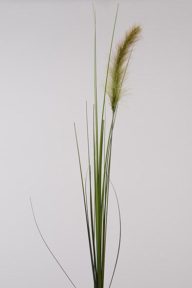 FOXTAIL SPRAY 122CM.BROWN