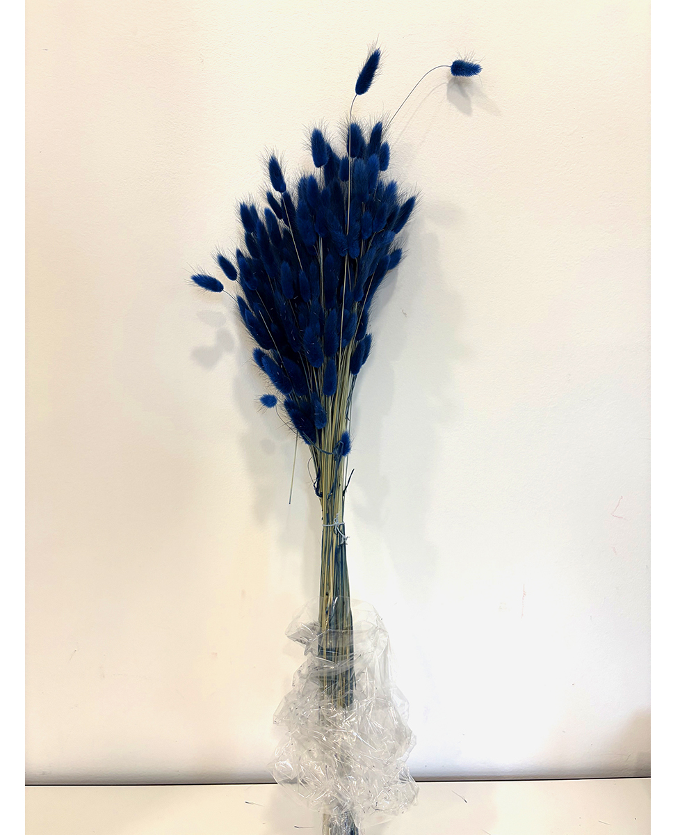 LAGURUS 100GR. BLU