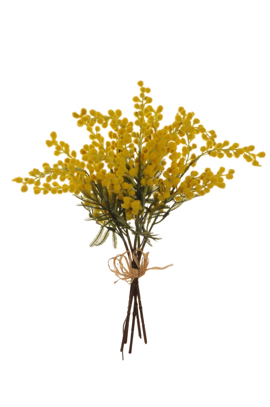 MIMOSA BUNDLE X5 C/RAFFIA 42CM. GIALLO